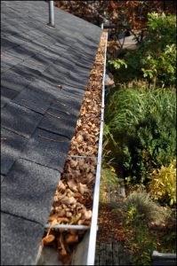 gutter with leaves