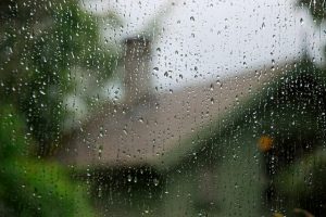 Window Rain