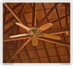 Ceiling Fan