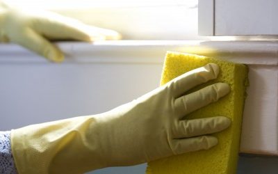 5 Things To Do Before Hiring Window Cleaning Professionals In Aurora, OH