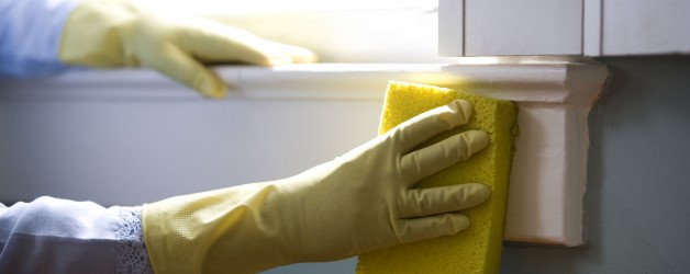 5 Things To Do Before Hiring Window Cleaning Professionals In Aurora, OH