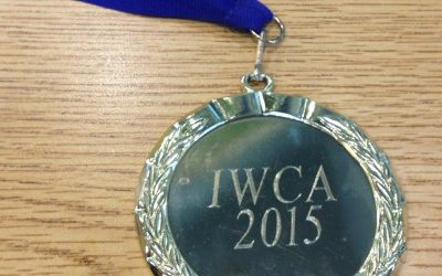 The Fastest Window Cleaner this side of the Mississippi