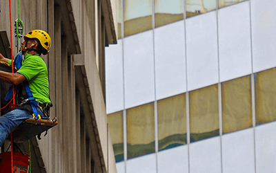 Central Window RISES to the occasion