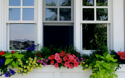 Window Shopping Wisdom: Energy Not Warranty