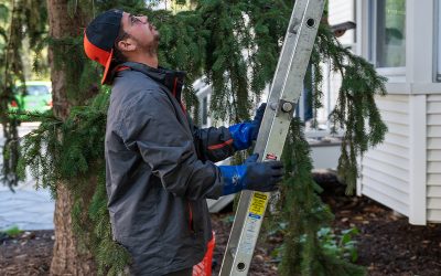 The dangers of gutter cleaning