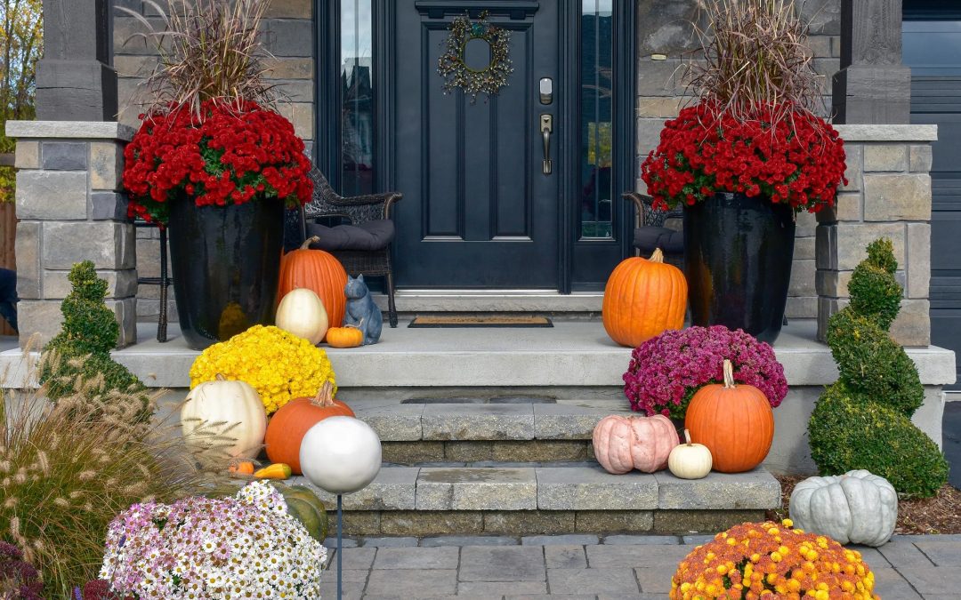 Fall Decor
