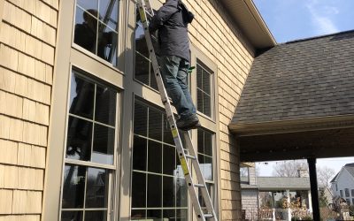 Spring is Here! Why Now Is the Perfect Time to Have Your Windows Cleaned